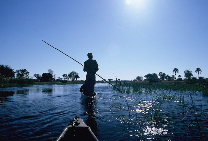 okavango guiding