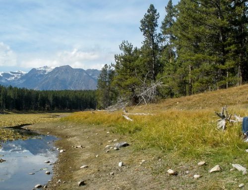 Timeline To Certification: Jackson Hole/Teton County Receive Earthcheck Silver Sustainable Destination Certification