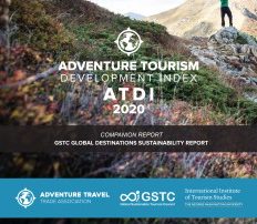 Cover Page of the ATDI Report 2020 Edition