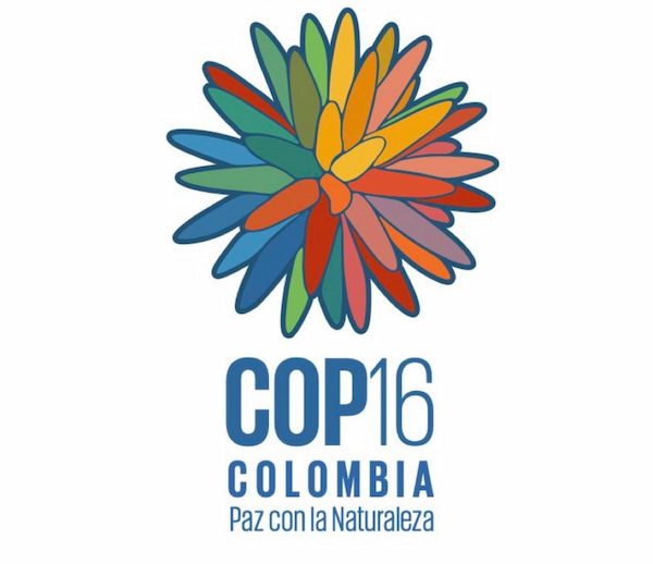 GSTC Participation at COP16 Biodiversity in Cali, Colombia